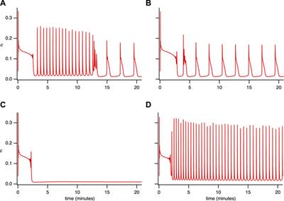 Calcium oscillations in HEK293 cells lacking SOCE suggest the existence of a balanced regulation of IP3 production and degradation